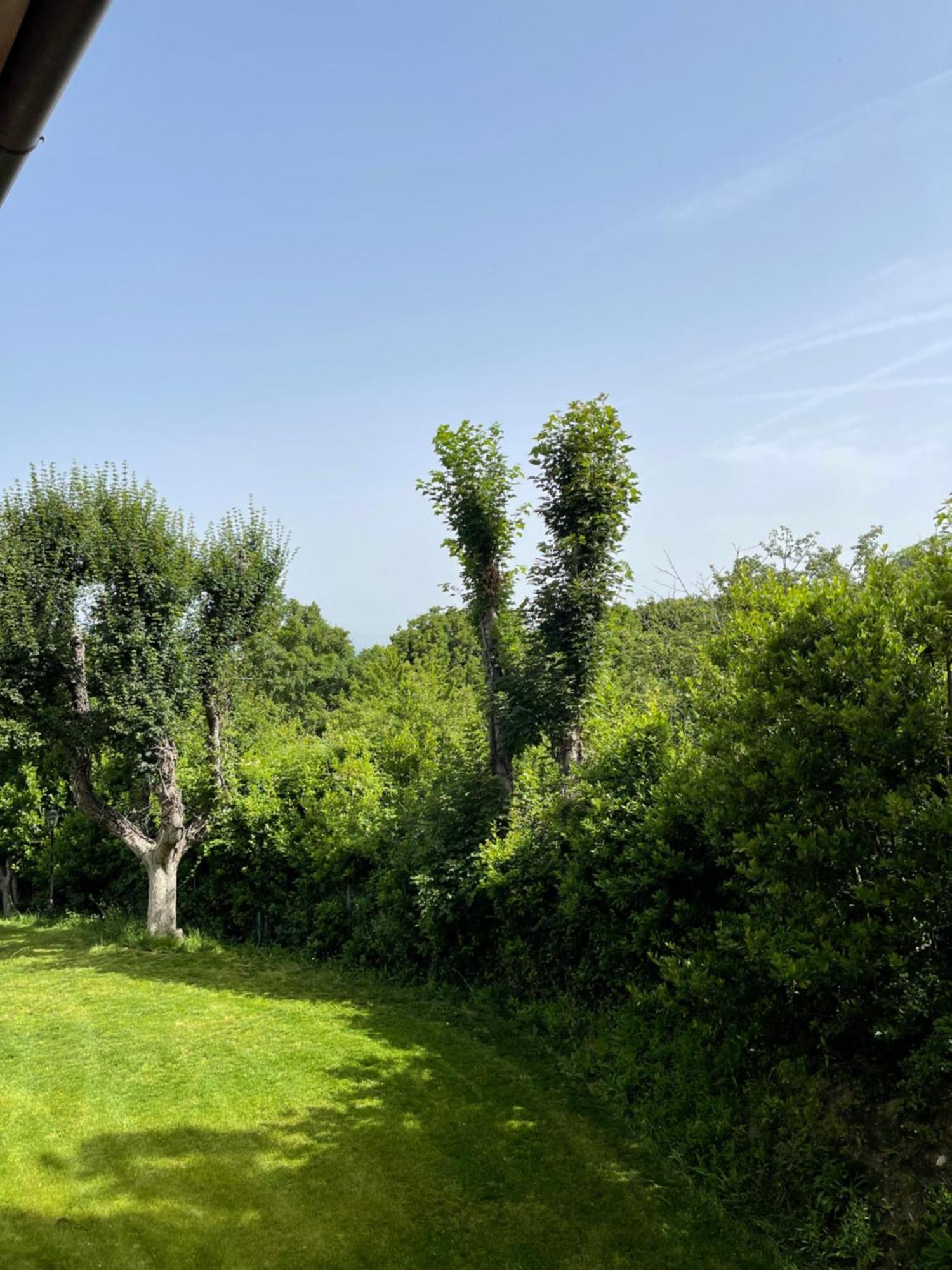 L' Aia Del Principe Villa Montepulciano Luaran gambar