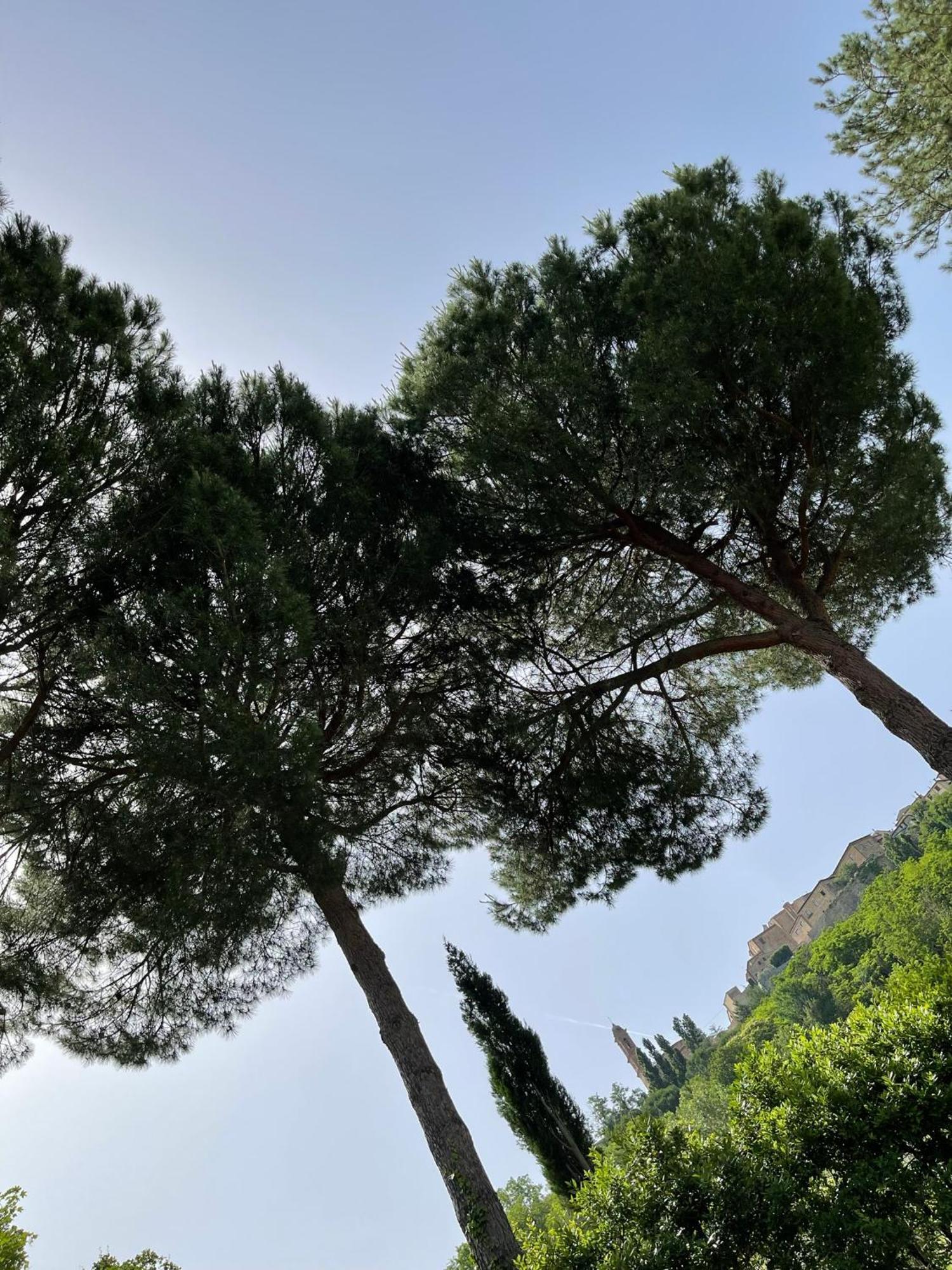 L' Aia Del Principe Villa Montepulciano Luaran gambar